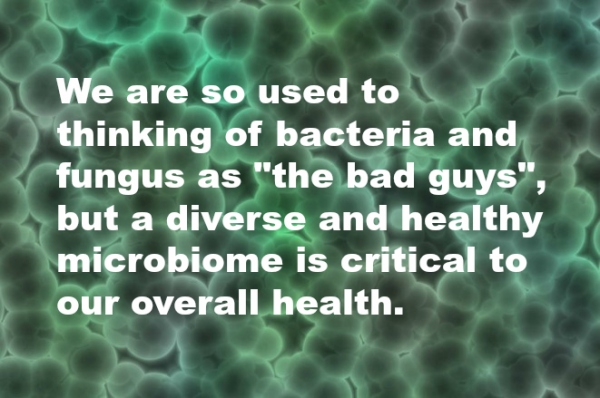 Microbiome birth